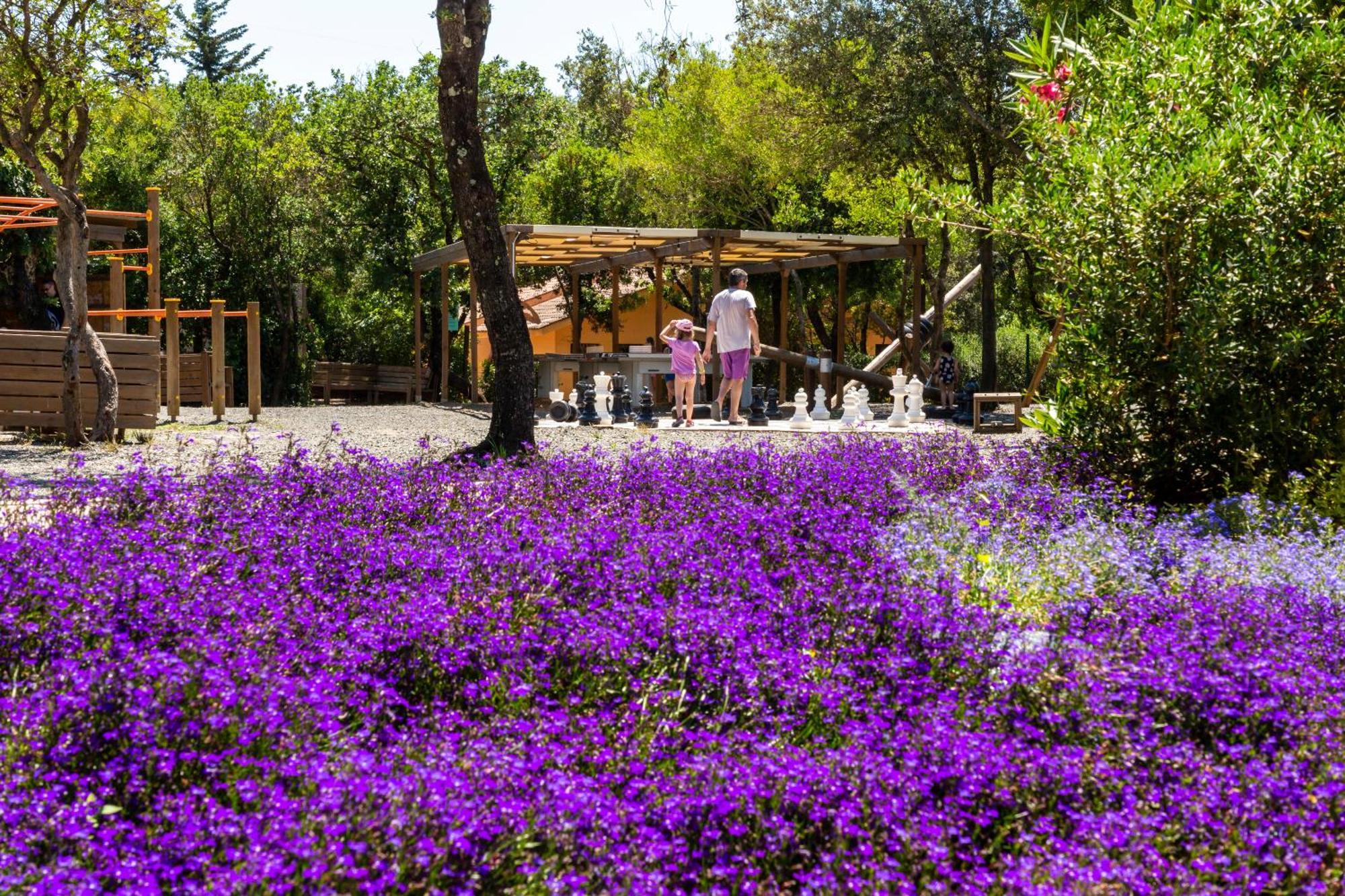 Hu Montescudaio Village ภายนอก รูปภาพ